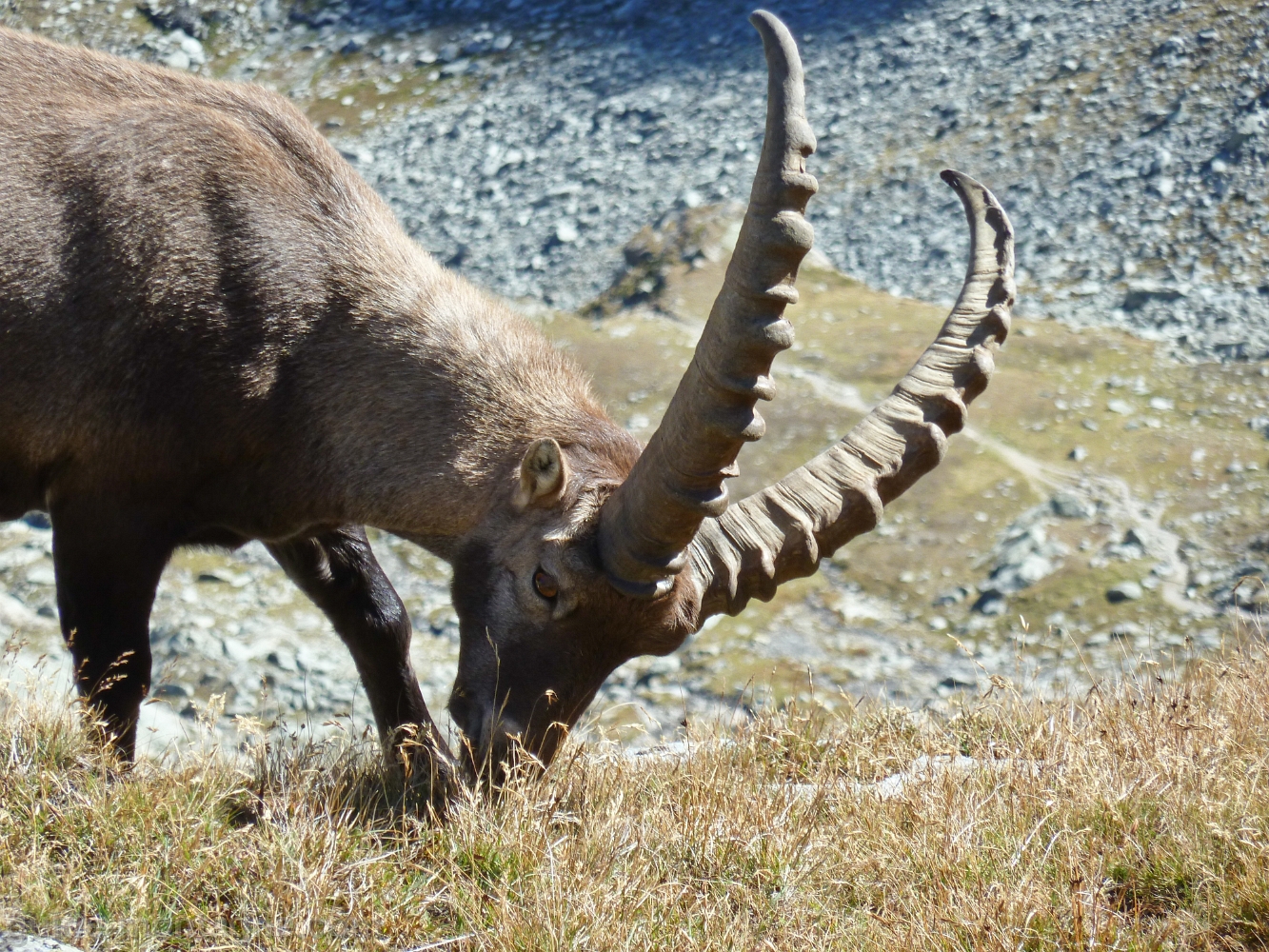 rando vanoise_06